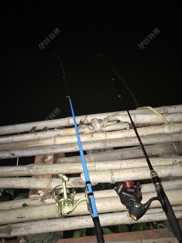 开杆大吉本来想钓靠近河中间