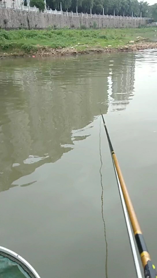 农贸市㘯出水口