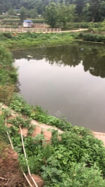 资阳乐至高寺永胜岩板滩钓场