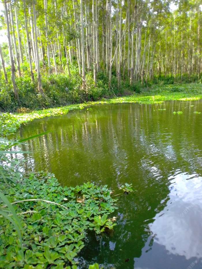 明水面