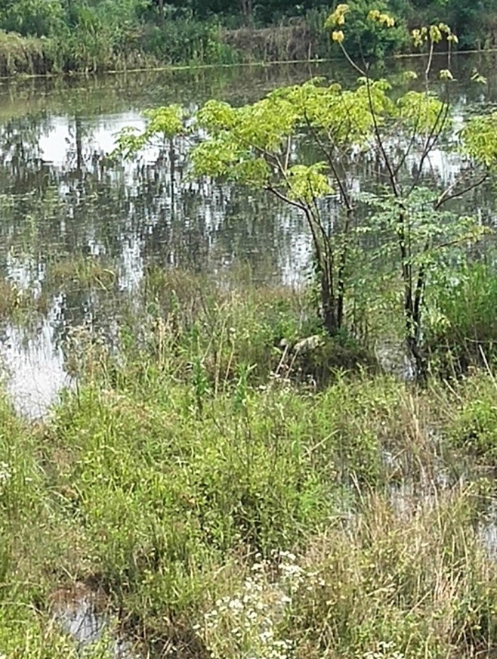 哇！，这水涨的?这一遍浅水