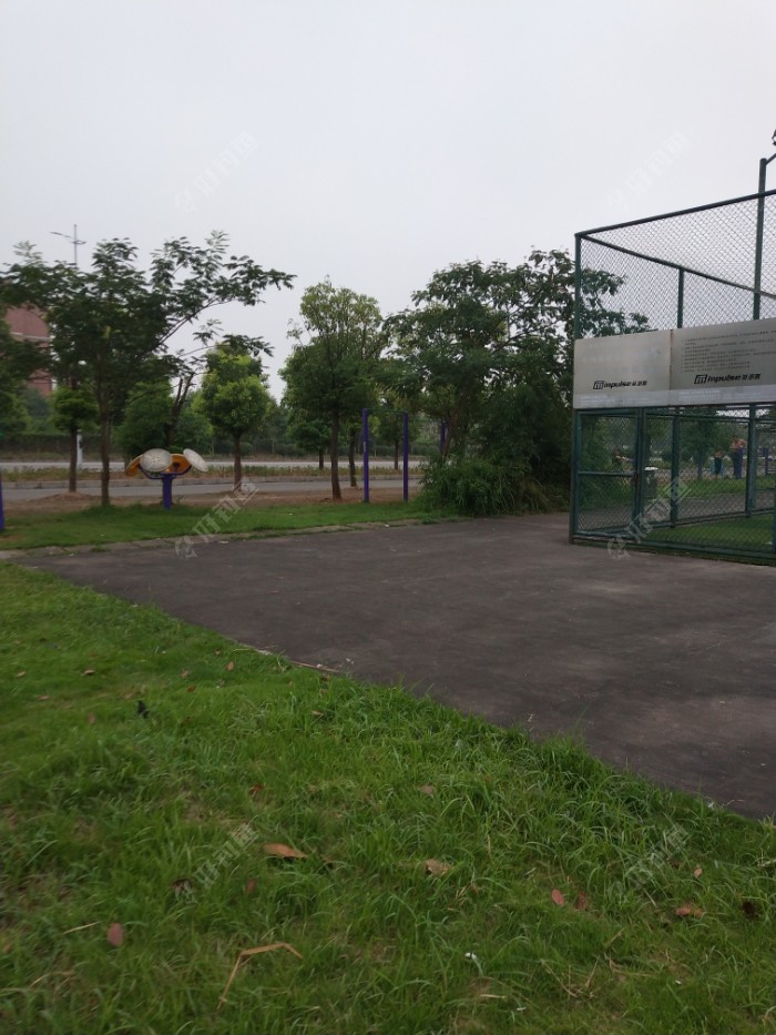 IMG_20190717_060358.jpeg