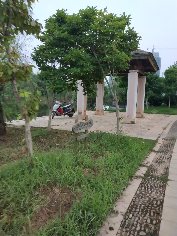 IMG_20190721_054341.jpeg