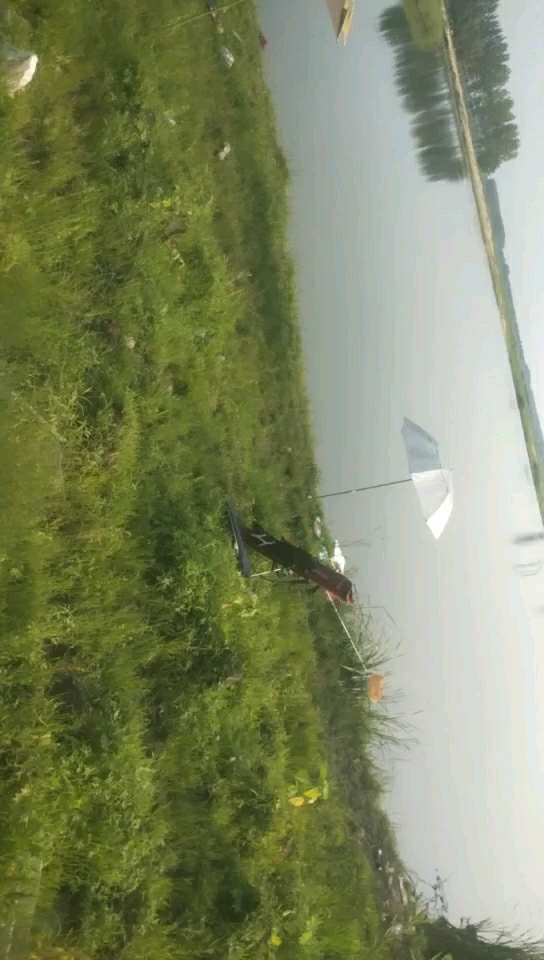 贺尔海巨物沙坑场