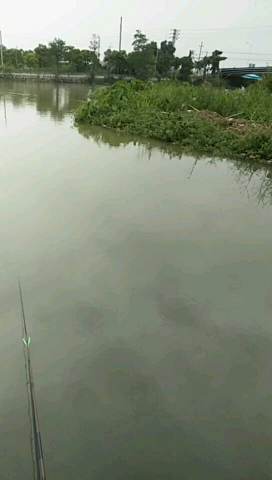 中山市坦洲镇联一村