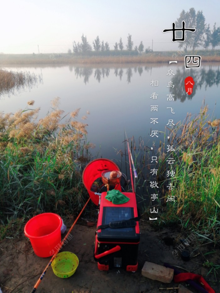 今天我的钓位，能把鱼护放下了。所有装备一一列阵开来！