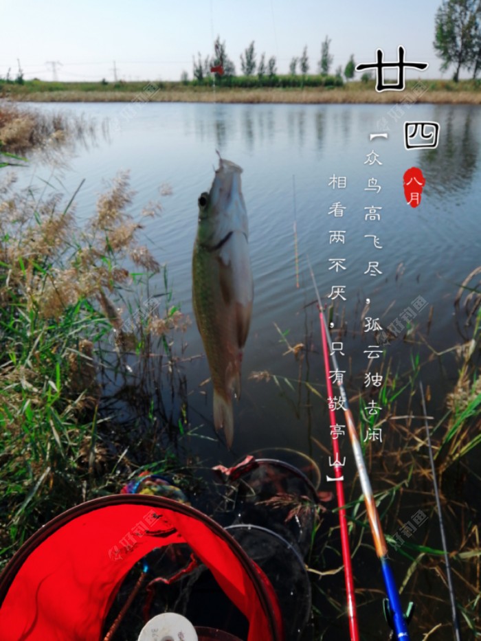 正口，上嘴唇中间！