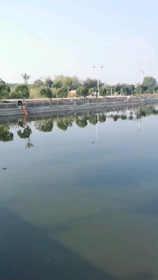 红枫天塘垂钓中心