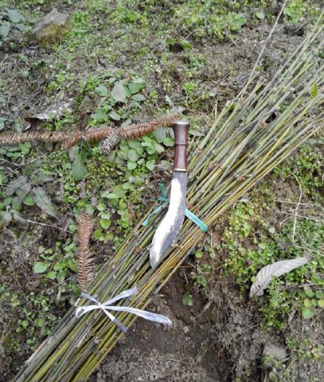 如何用竹子自制一根鱼竿，共分为四个步骤