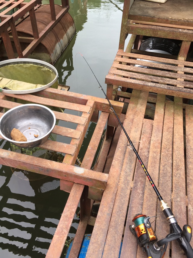 上来就是干下杆没一会这次不是白条先来报道了