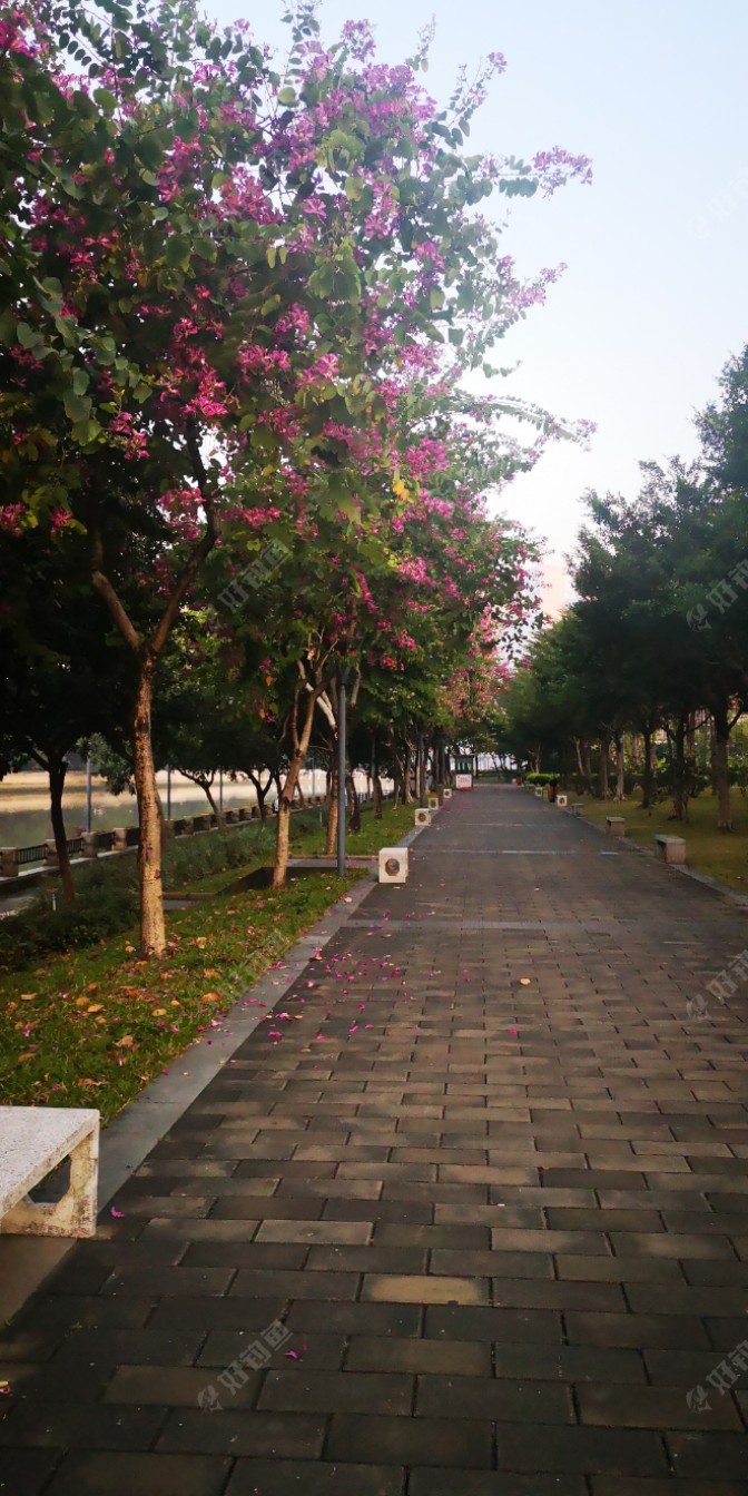 我走在磨碟沙公园的里边时，