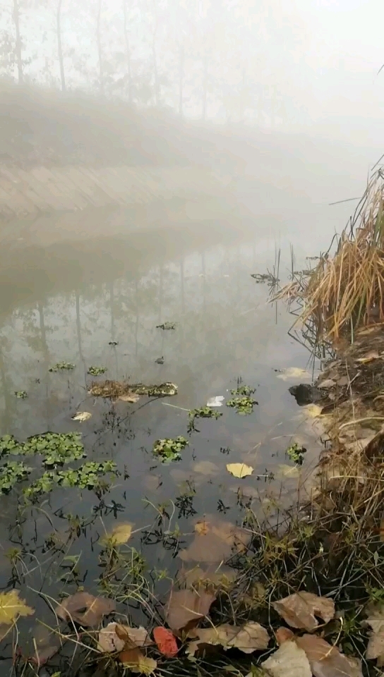 三汊河旁边的之流