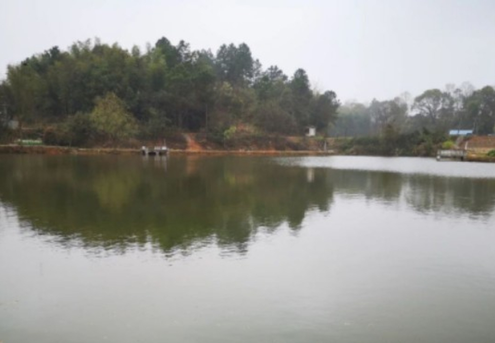 德森龙莲路亚基地