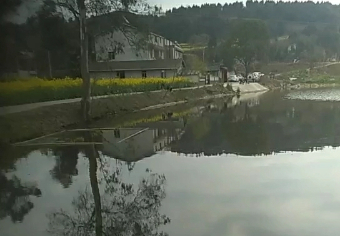 桃园清水鱼钓场