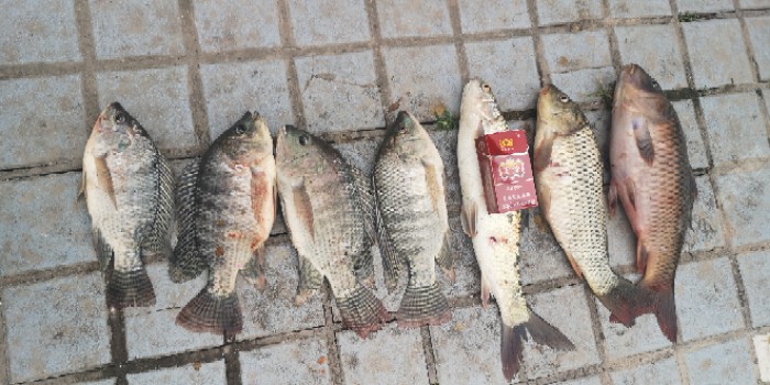 今天我只钓了两个小时，因为