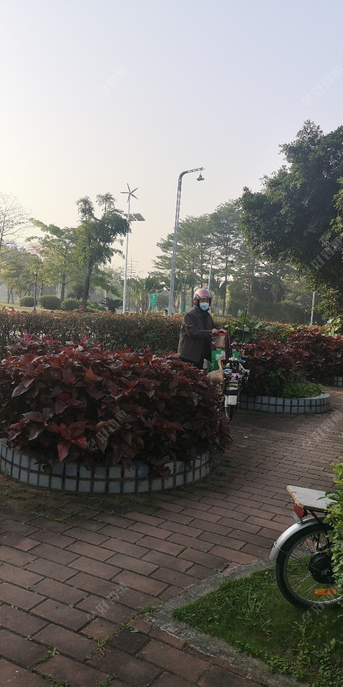 我刚来到小河沟，在前方老张