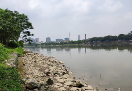 番禺二桥底下(湿地公园)