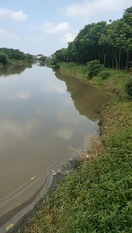 胖子野生钓鱼基地