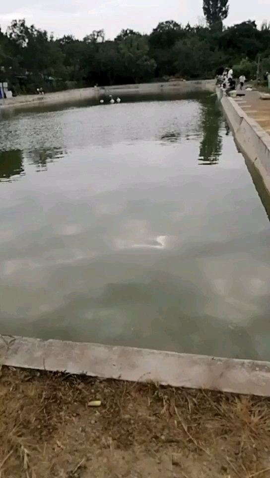 核桃庄园，垂钓园