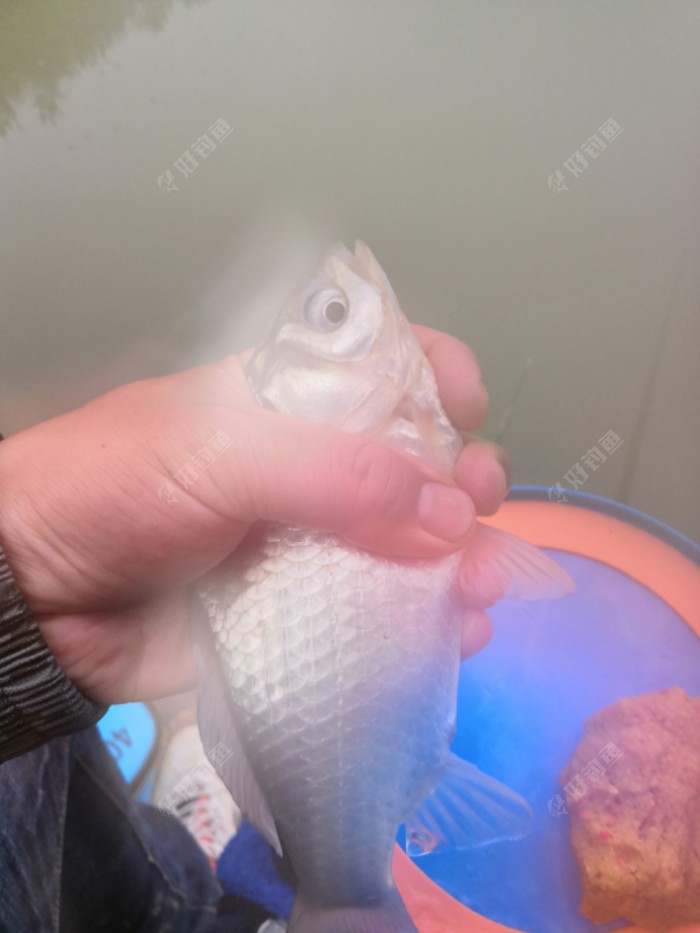 cjd0iVxZrCJykRH3UlnK4V5FBtuGv.jpeg