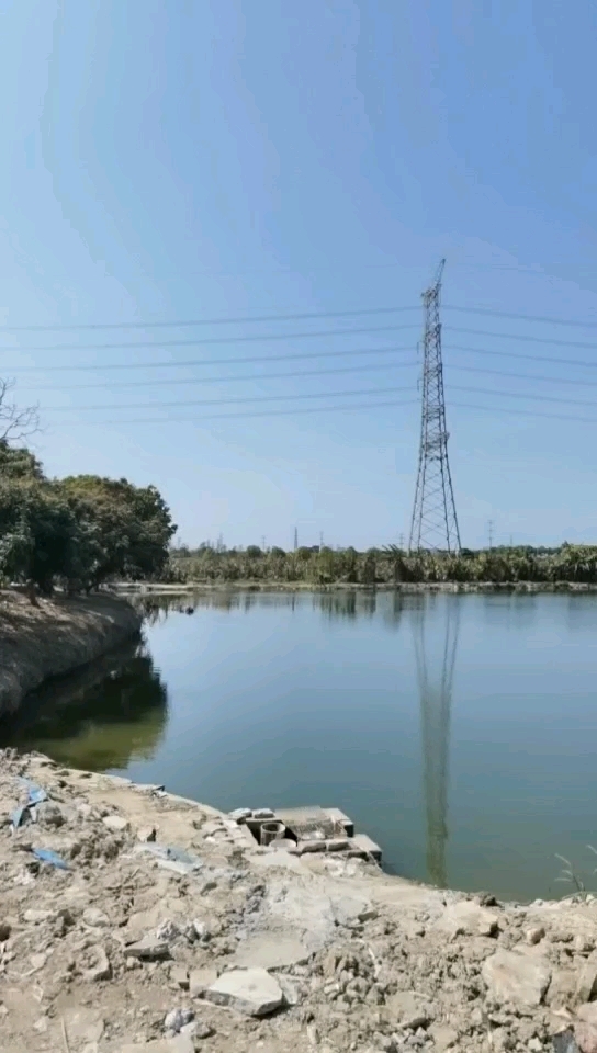 狼王bass路亚基地（巨型雀鳝）