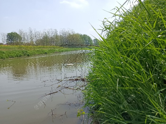 右边，500米处对面应该是张家湾，全大师在那里钓。