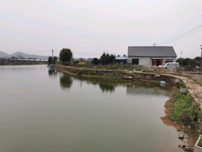 柯城区杭隆家庭农场