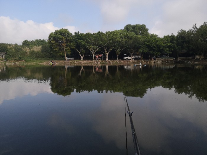 苏稽自然风大物钓场
