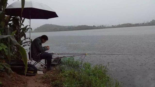 下雨天怎么钓鱼