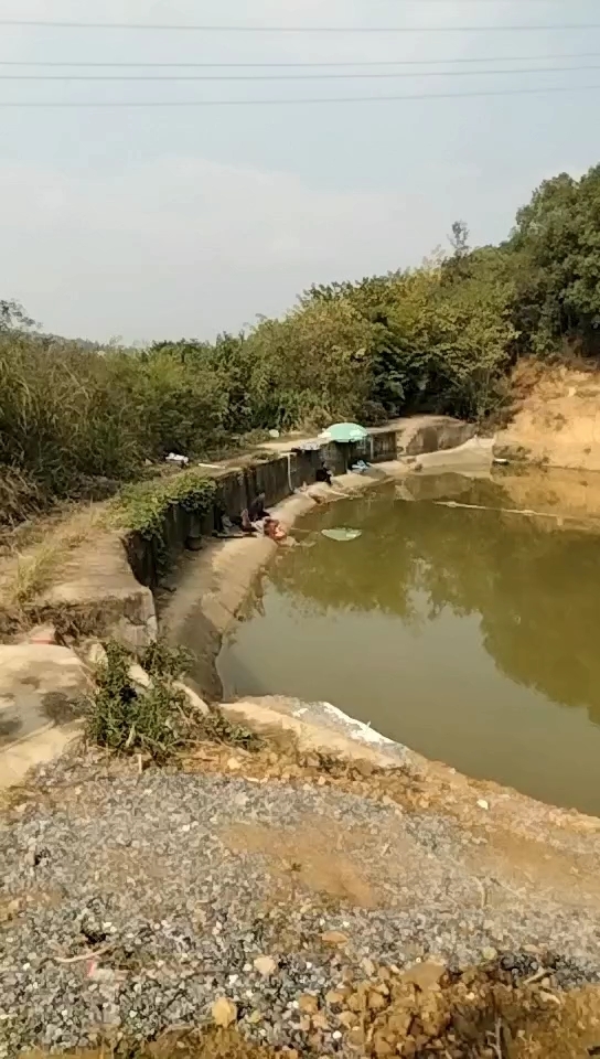 醴陵板杉向阳钓场