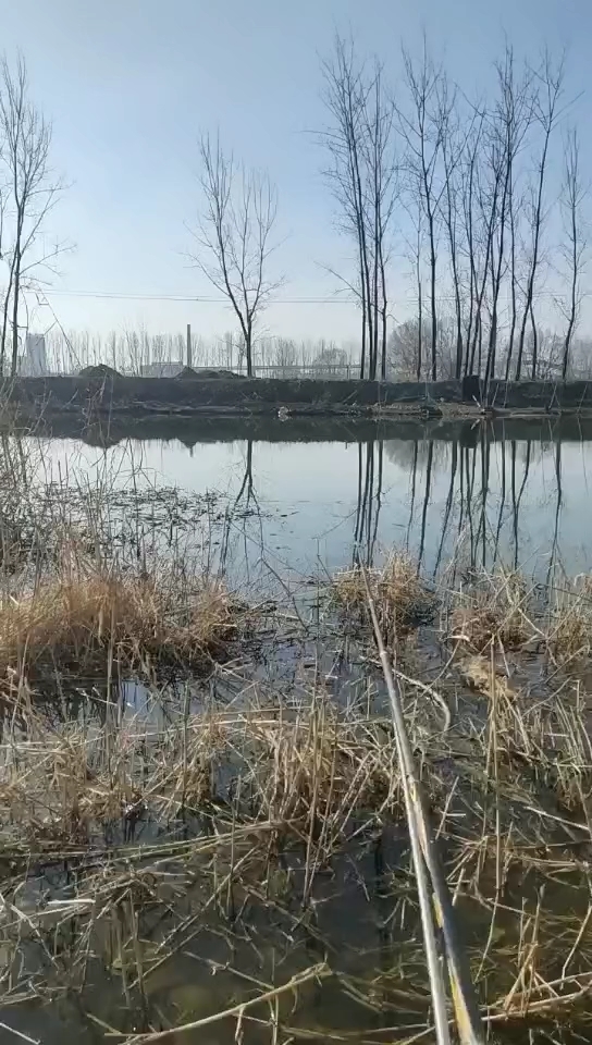 姚桥煤矿矸子山北