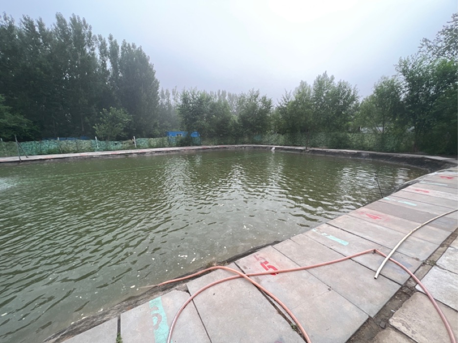 桥北渔多多钓场