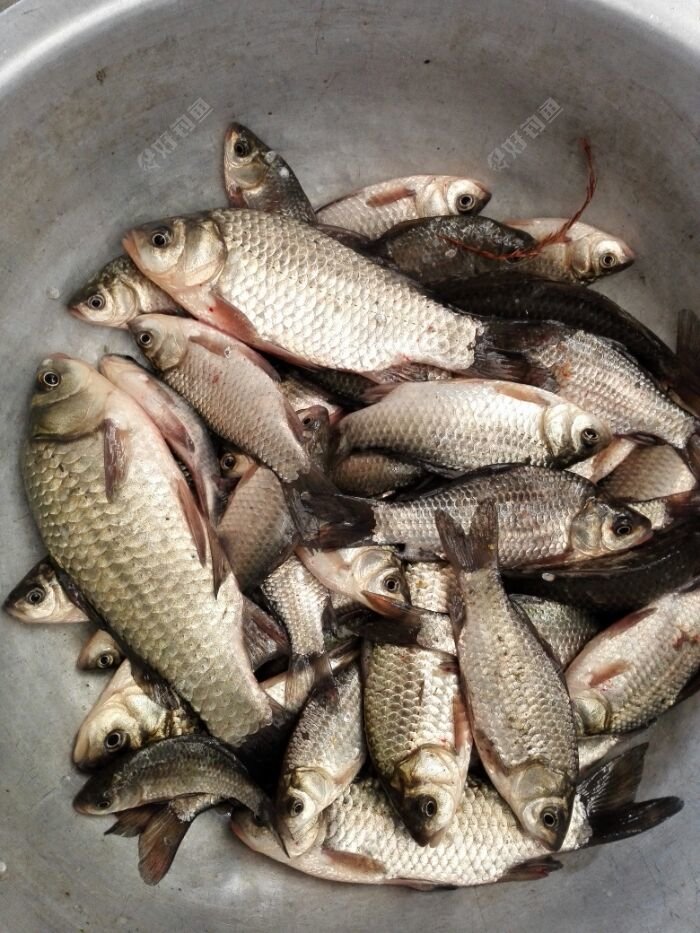 河中结冰敲碎了冰钓鱼