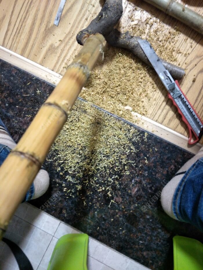之前阴干的竹子,去皮.等等打磨好了在上漆.