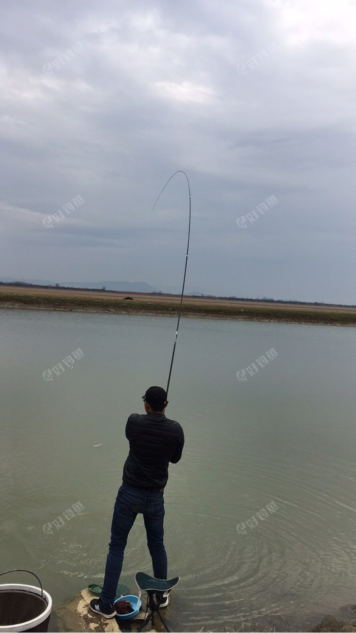 升金湖狂拉 - 好钓鱼