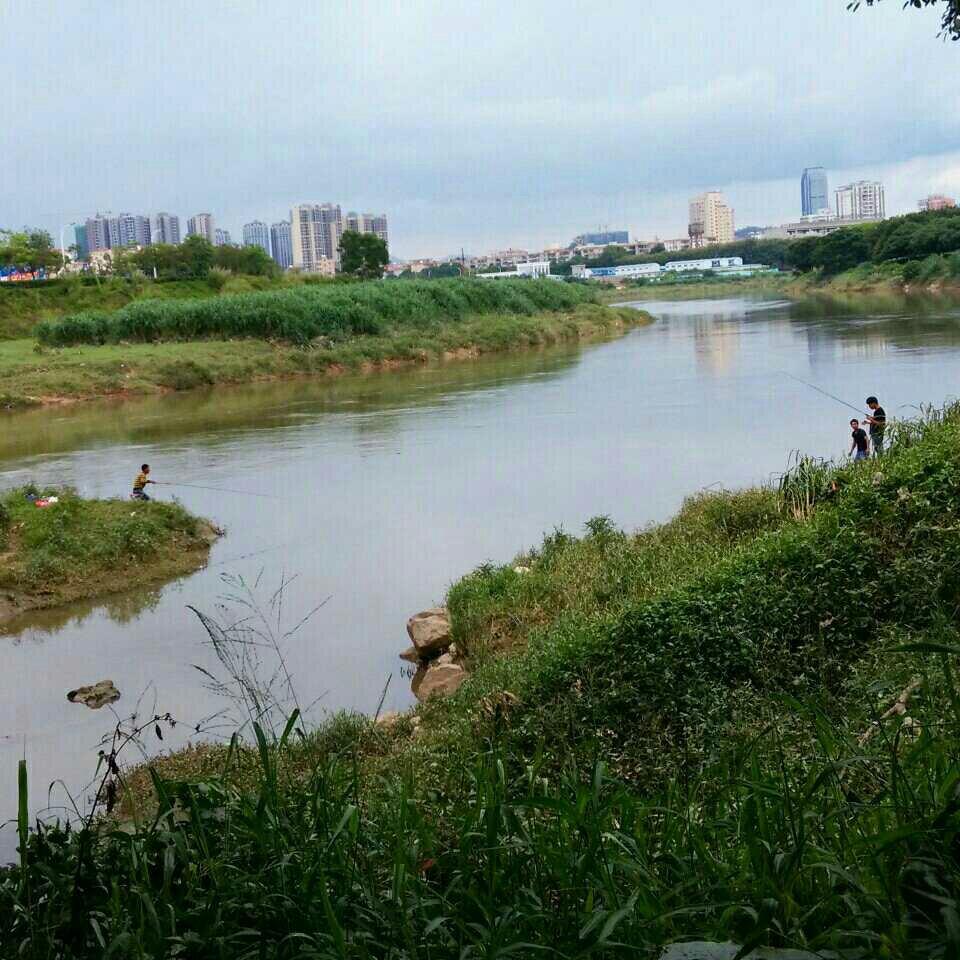 惠州水库钓鱼地点图片