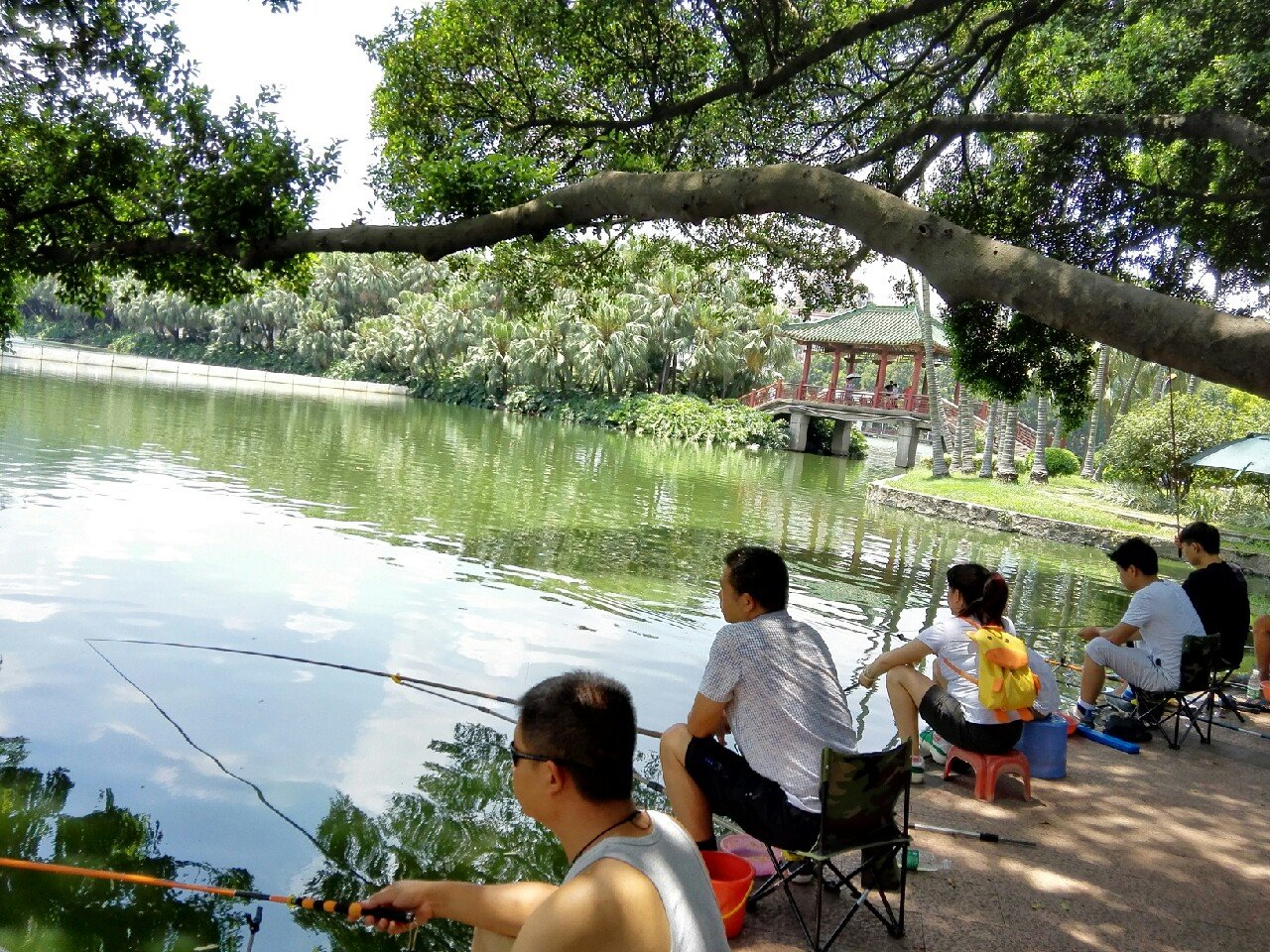 流花湖公园钓鱼区