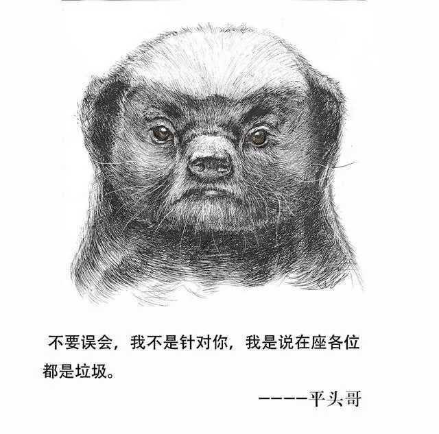 各位大神,用什么窝料诱鲫鱼效果好?