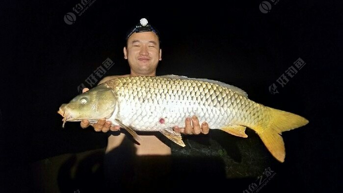 八一建军节之临城水库团伙作案 - 好钓鱼