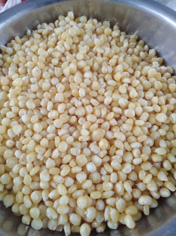自制发酵玉米