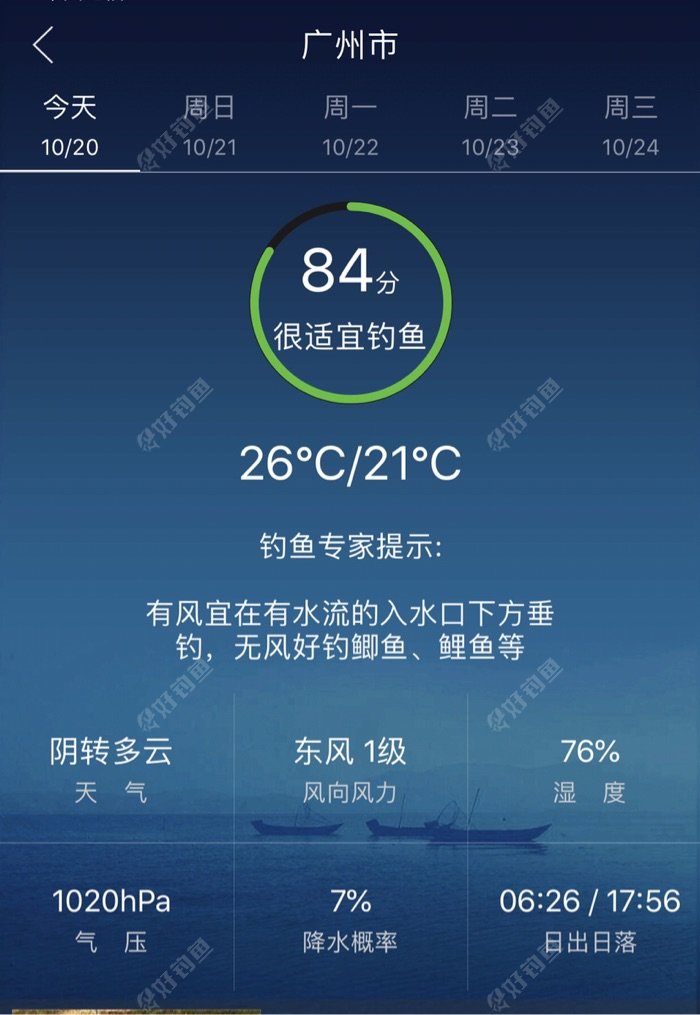 麦鲮我真的钓到怕了