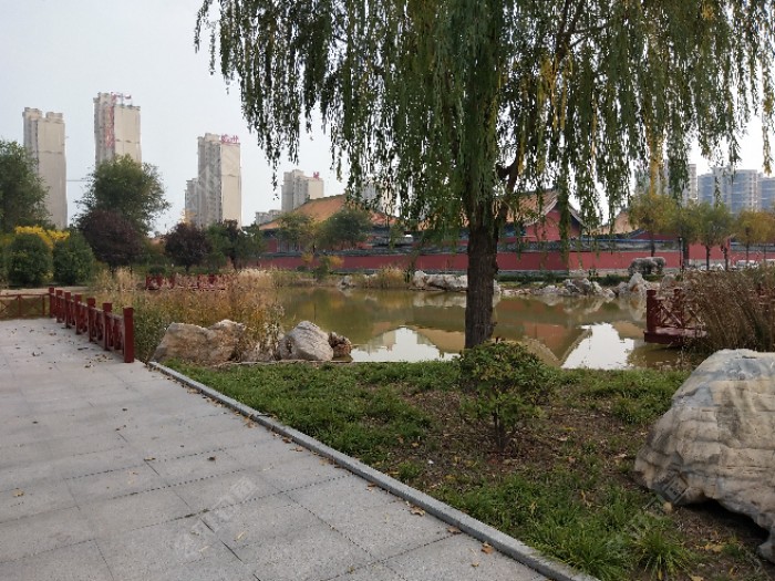 就放这个观赏园了，明年又一个自留地！