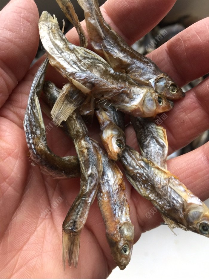 去年秋天钓的鱼晾晒成了鱼干