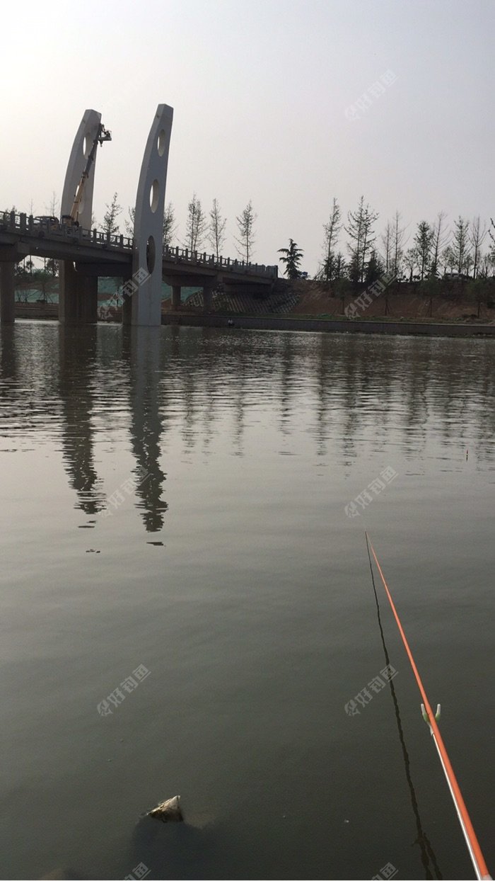 贾鲁河水涨了