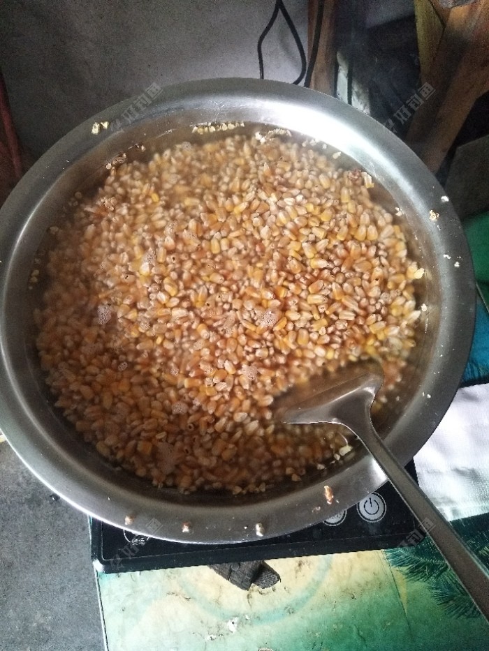 自制玉米窝料备战夏季大鲤鱼