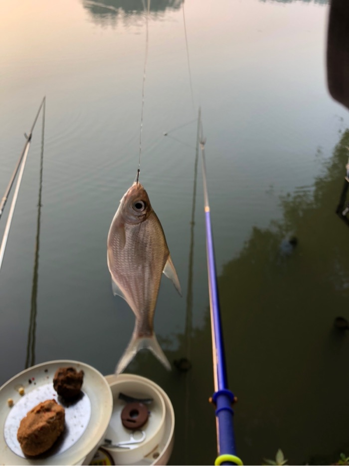 試釣報告一跑魚空竿一整天