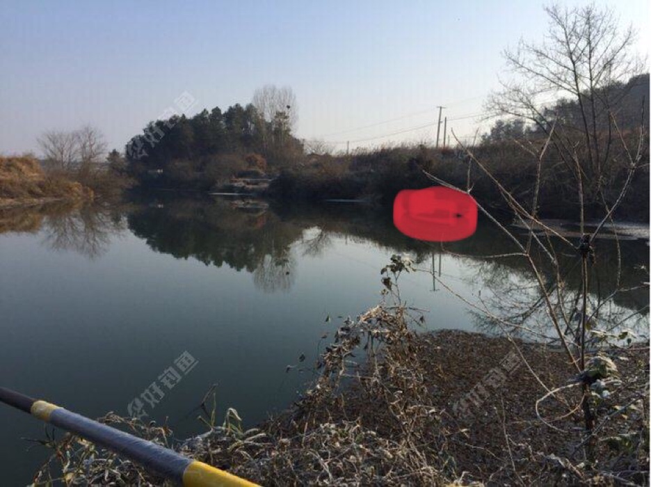 筏竿开光独中板鲫