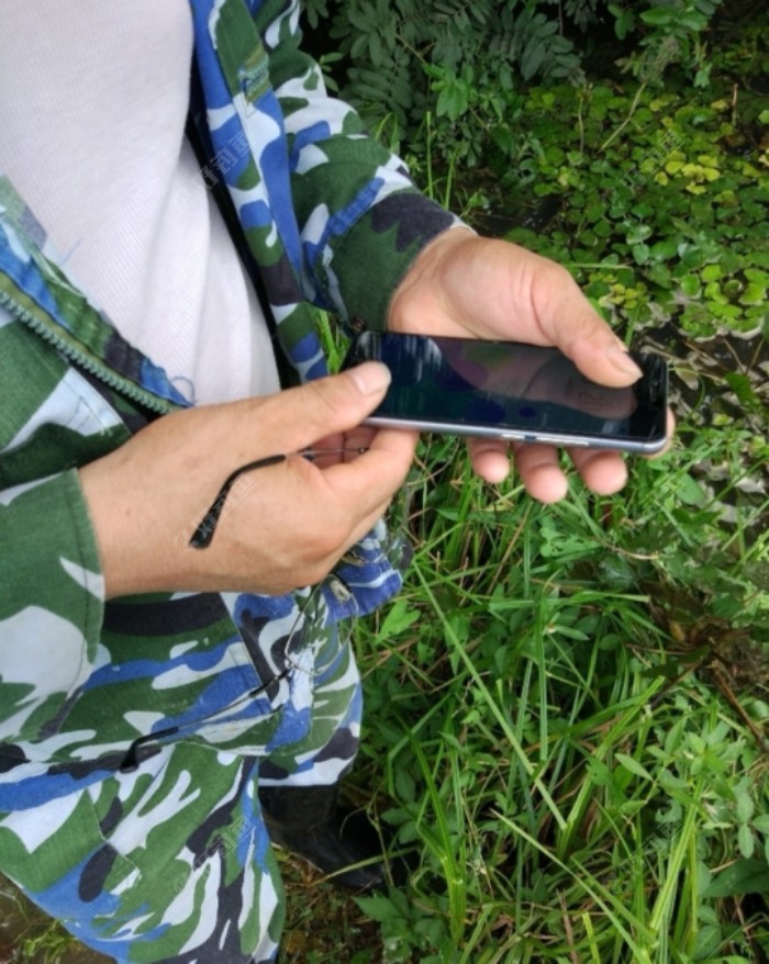 手机打窝引得鬼子疯抢